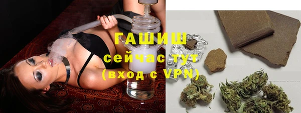 индика Баксан