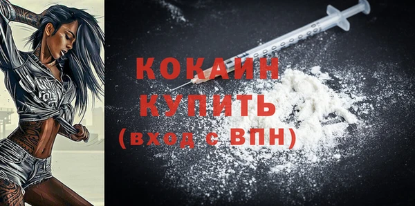 индика Баксан