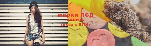 индика Баксан