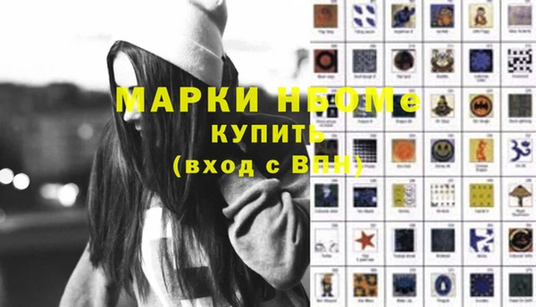 индика Баксан