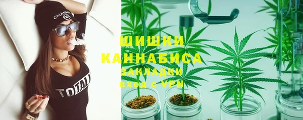 индика Баксан
